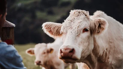 Ziach & Candy: dein Lieblingsplatzl in Großarl